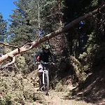 Montanhous *